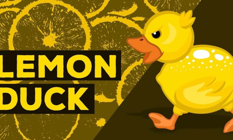 What Is LemonDuck? Cross-Platform Mining Malware That Affects Windows ...